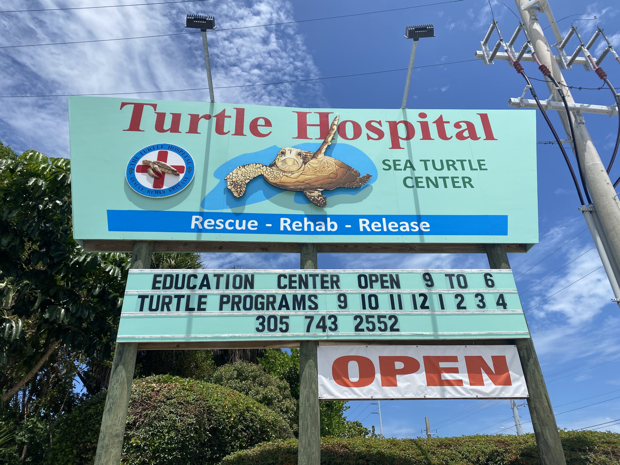 Turtle Hospital Street Sign