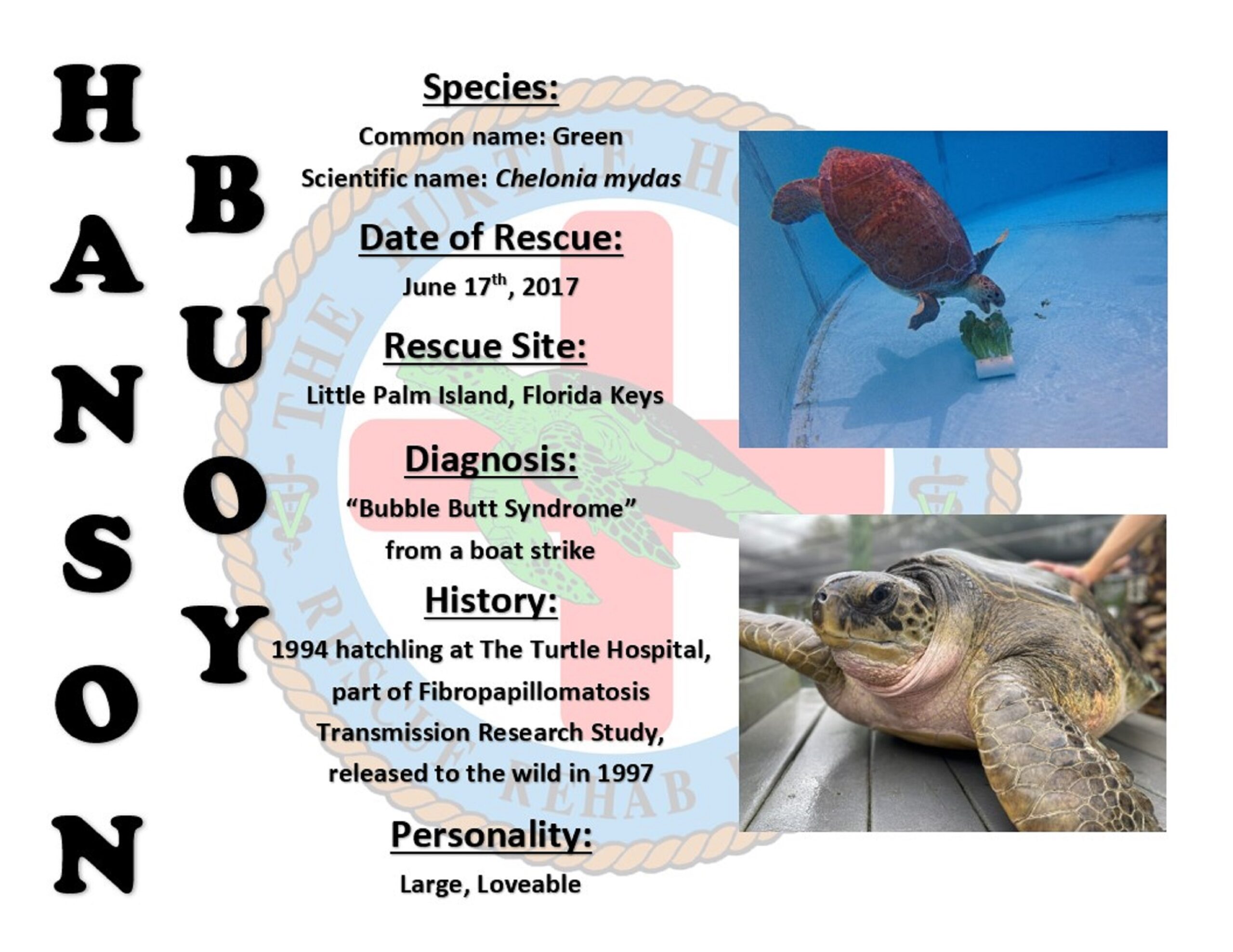 Hanson Buoy Profile Certificate